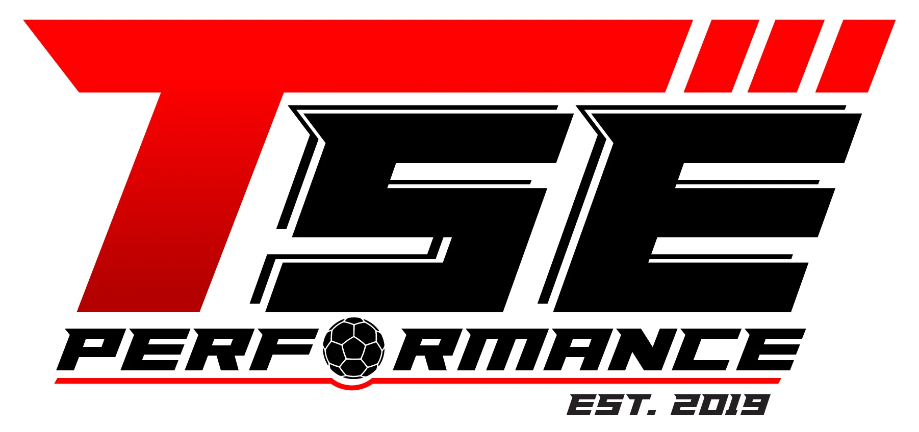 logo-tse-web